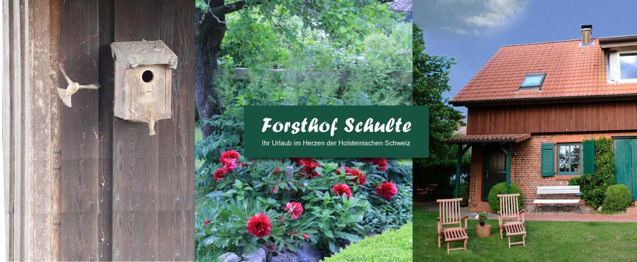 Forsthof Schulte Βίλα Pronstorf Εξωτερικό φωτογραφία
